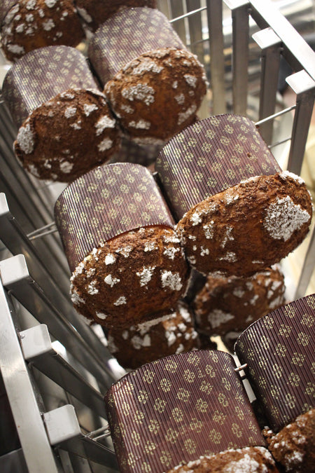 Panettone